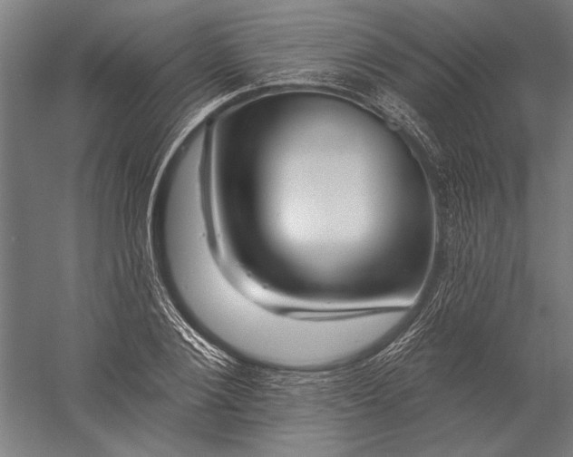 X0000056370884200509091646