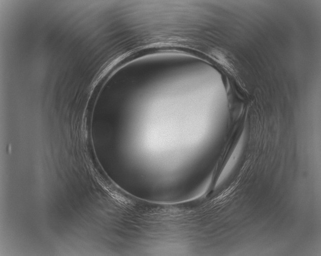 X0000056370885200509091646