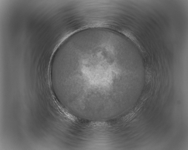 X0000056370886200509091646