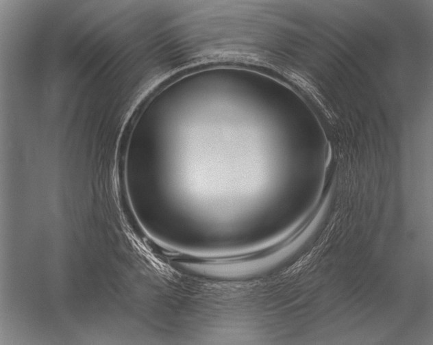 X0000056370888200509091646