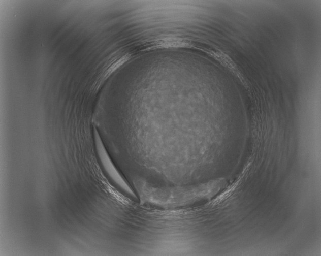 X0000056370889200509091646