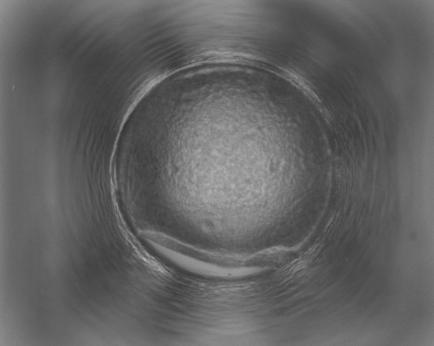 X0000056370891200509091646