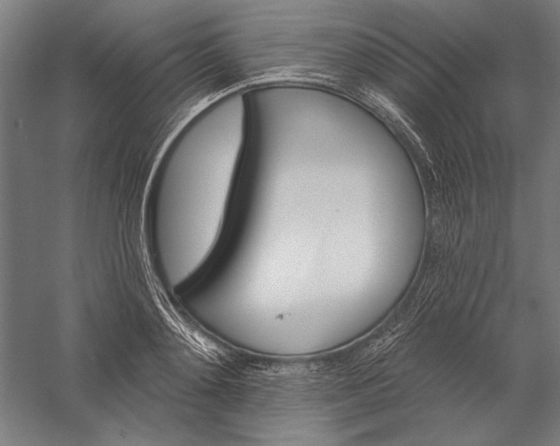 X0000056370892200509091646