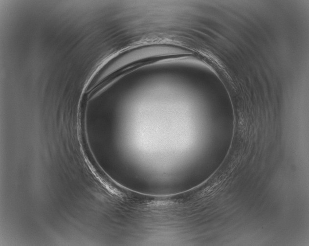 X0000056370894200509091646