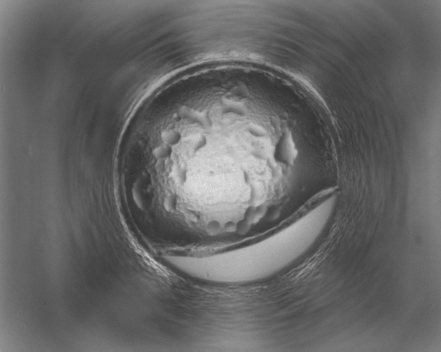 X0000056370895200509091646