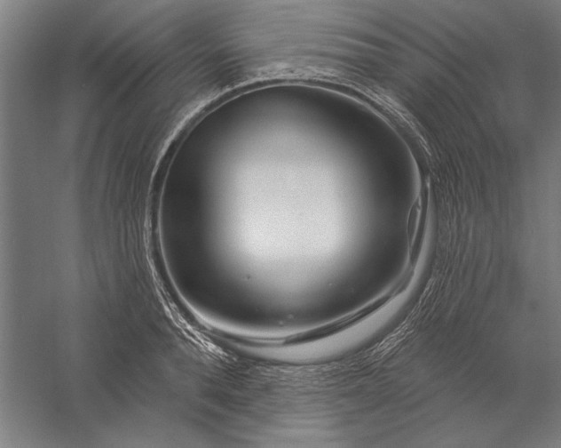 X0000056370896200509091646