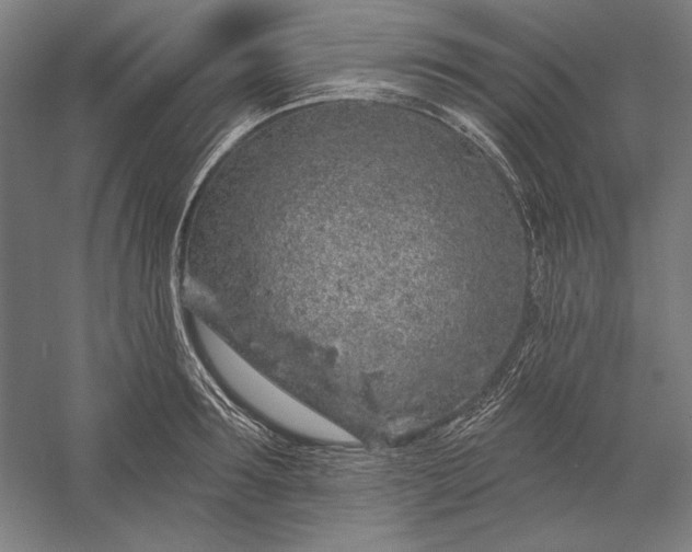 X0000056370899200509091646