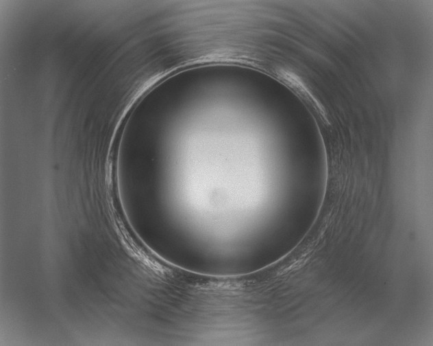 X0000056370900200509091646