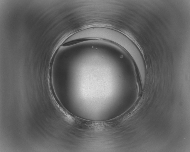 X0000056370906200509091645