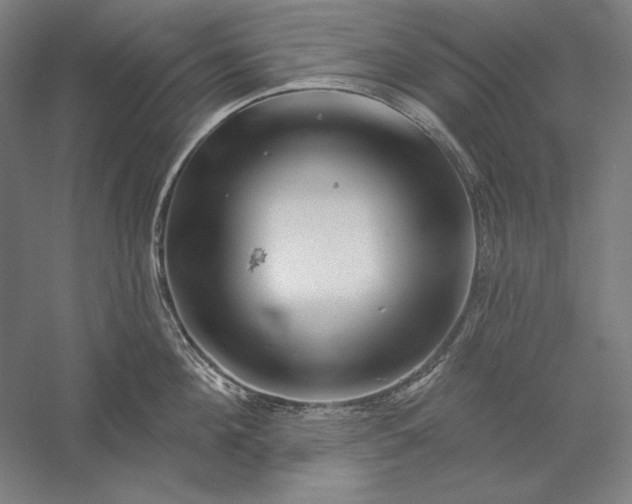 X0000056370908200509091645