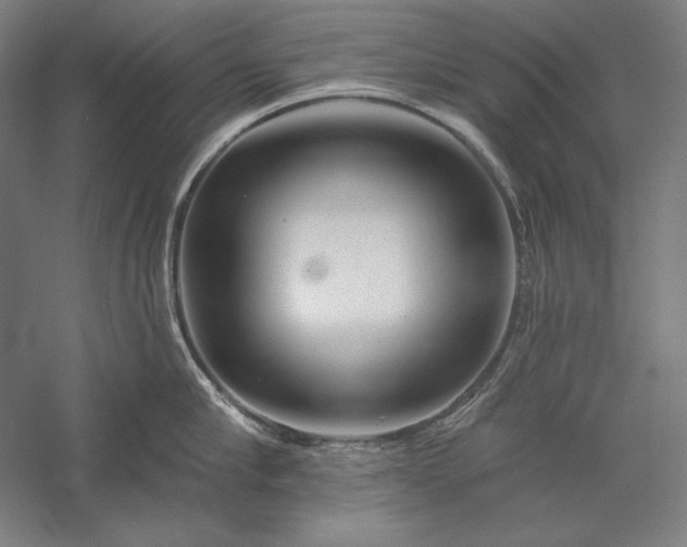 X0000056370910200509091645