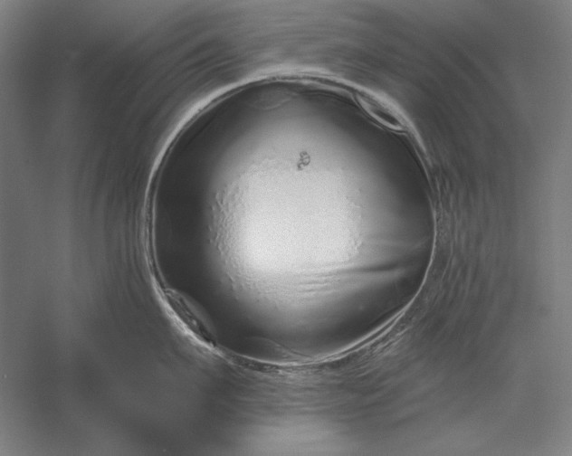 X0000056370911200509091645