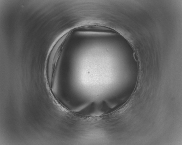 X0000056370912200509091645