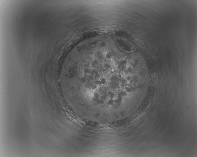 X0000056370913200509091645