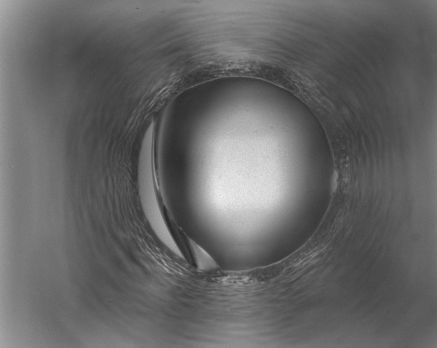 X0000056370916200509091645