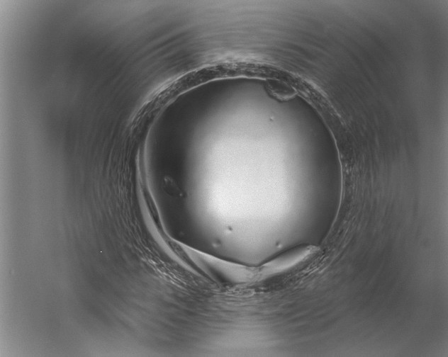 X0000056370919200509091645