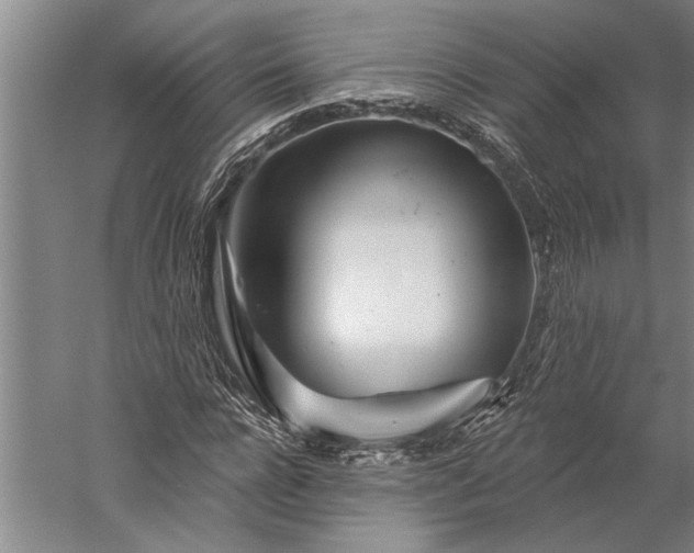 X0000056370920200509091645