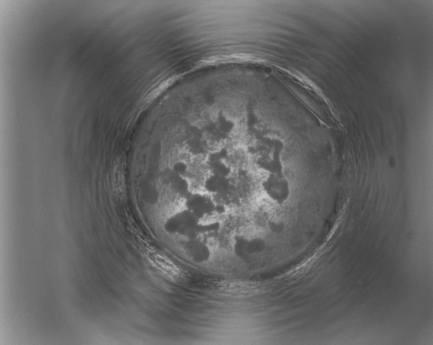 X0000056370921200509091645