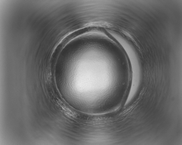 X0000056370923200509091645