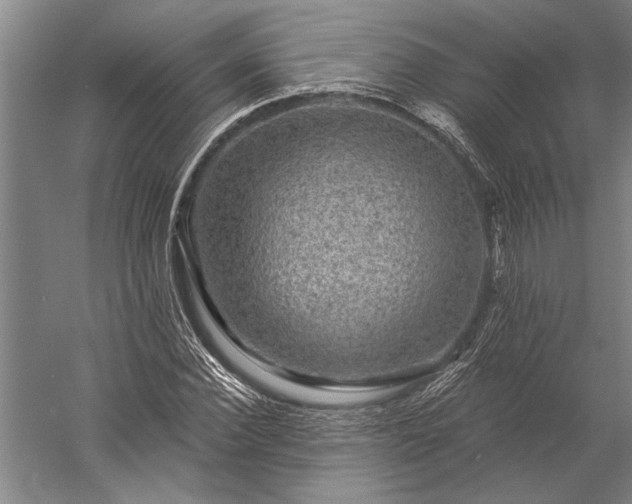 X0000056370924200509091645