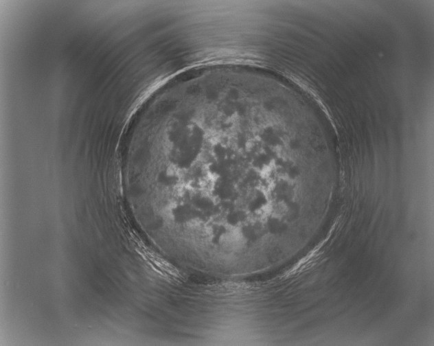 X0000056370925200509091645