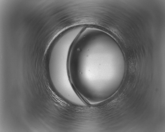 X0000056370926200509091645