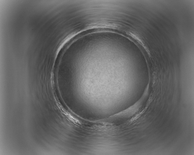 X0000056370928200509091645