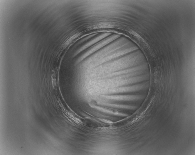 X0000056370929200509091645