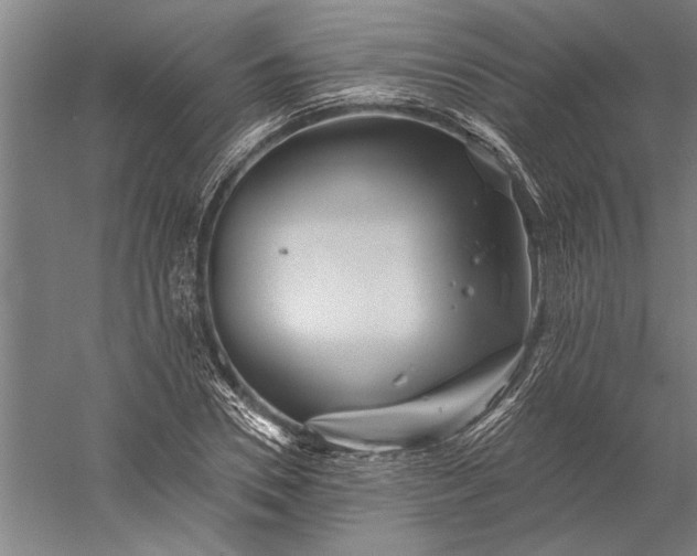 X0000056370930200509091645