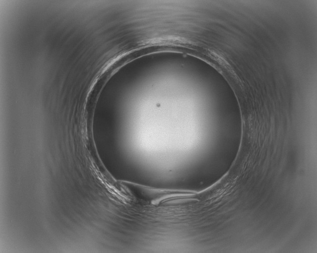 X0000056370931200509091645