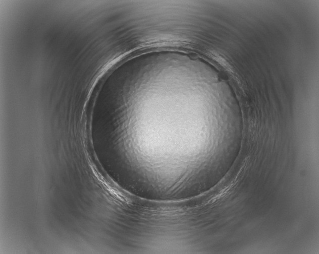 X0000056370933200509091645