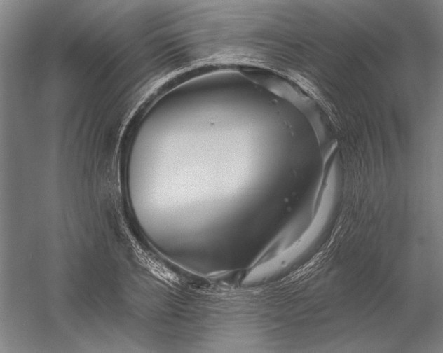 X0000056370934200509091645