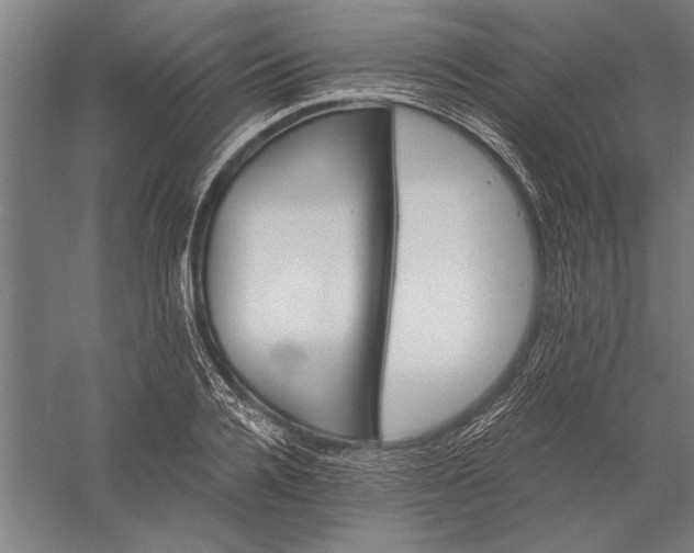 X0000056370936200509091645