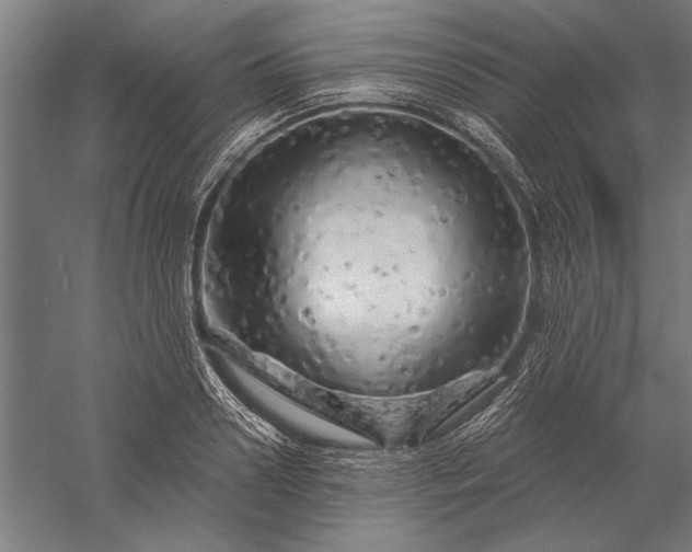 X0000056370938200509091645