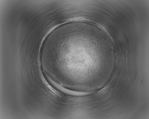 X0000056370939200509091645