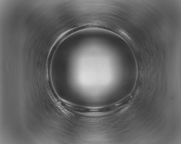 X0000056370940200509091645