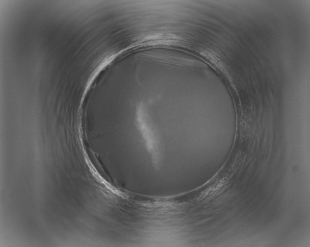 X0000056370941200509091645