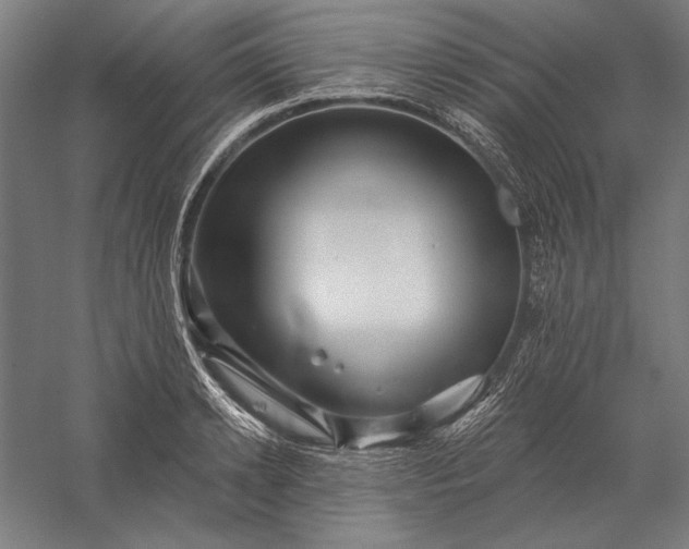 X0000056370942200509091645