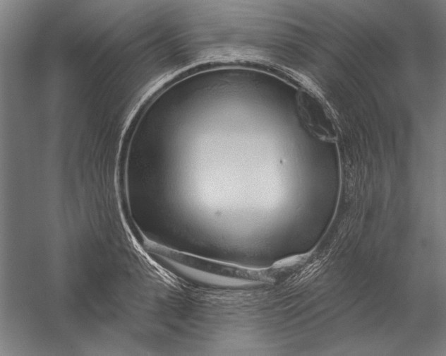 X0000056370943200509091645