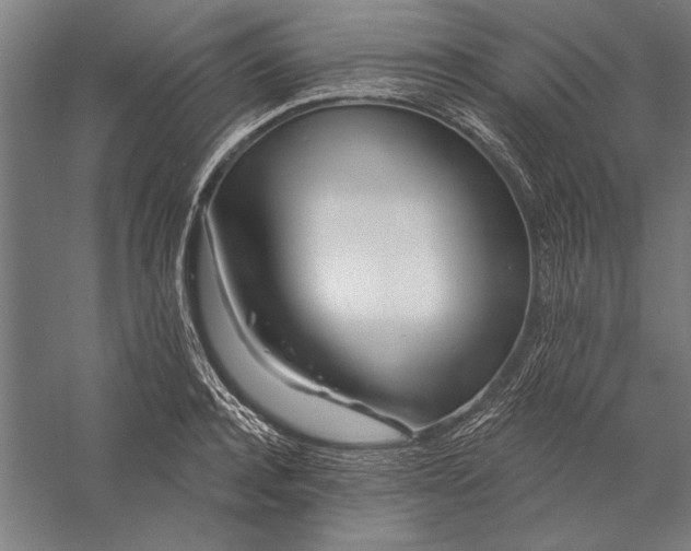 X0000056370944200509091645