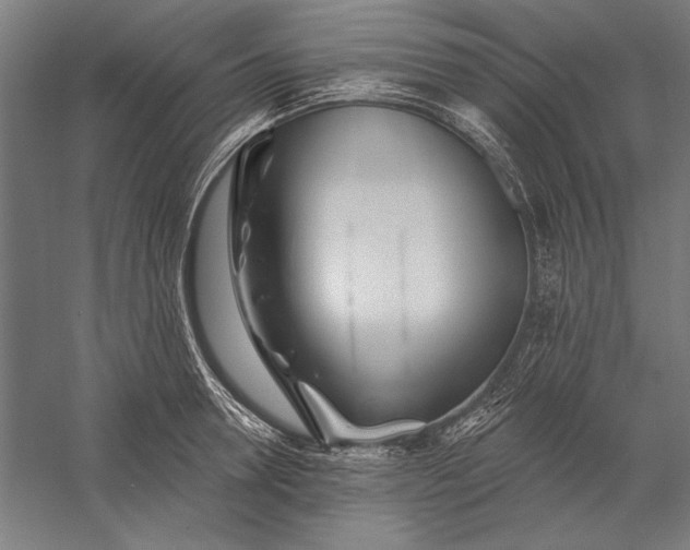 X0000056370946200509091645