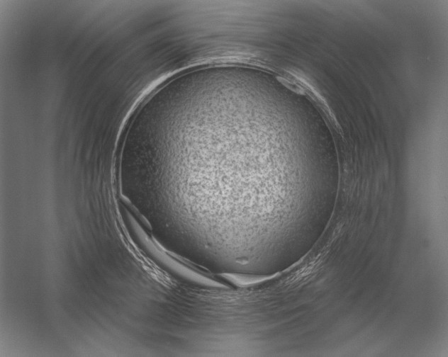 X0000056370948200509091645