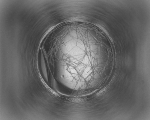 X0000056370949200509091645