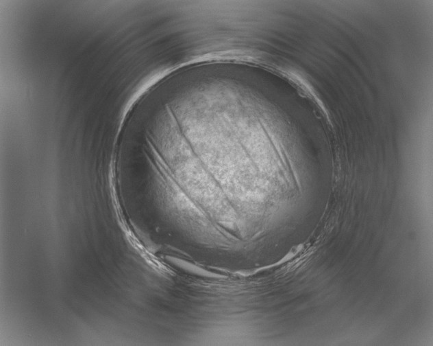 X0000056370952200509091645