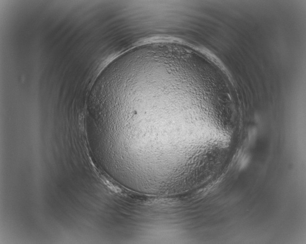 X0000056370953200509091645