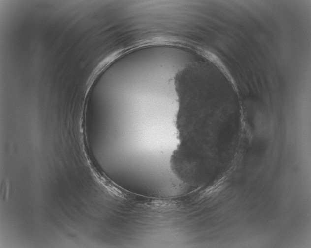 X0000056370954200509091645