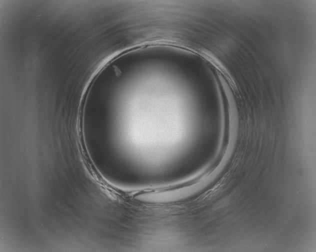 X0000056370956200509091645