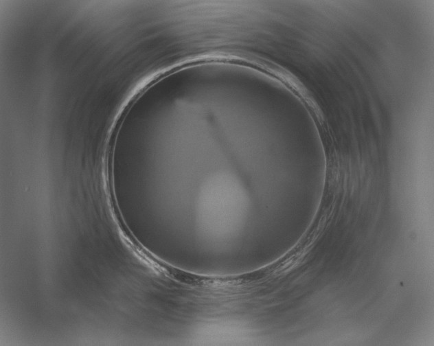 X0000056370958200509091645