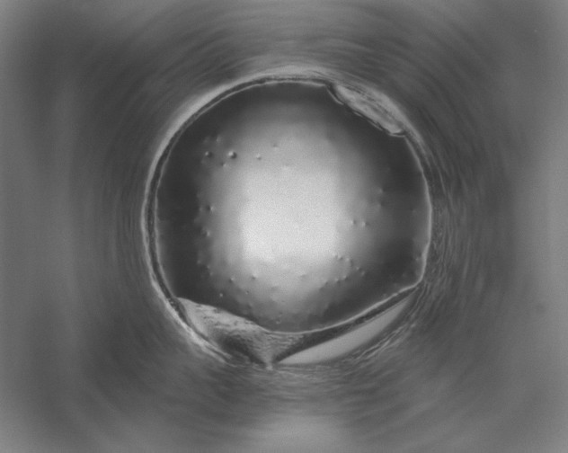 X0000056370959200509091645