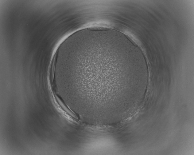 X0000056370960200509091645